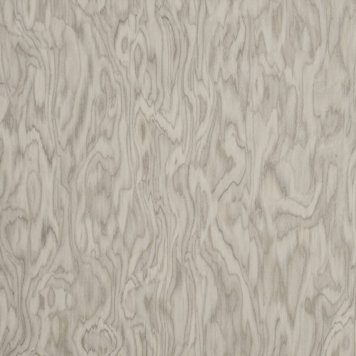 Exotic Beech
