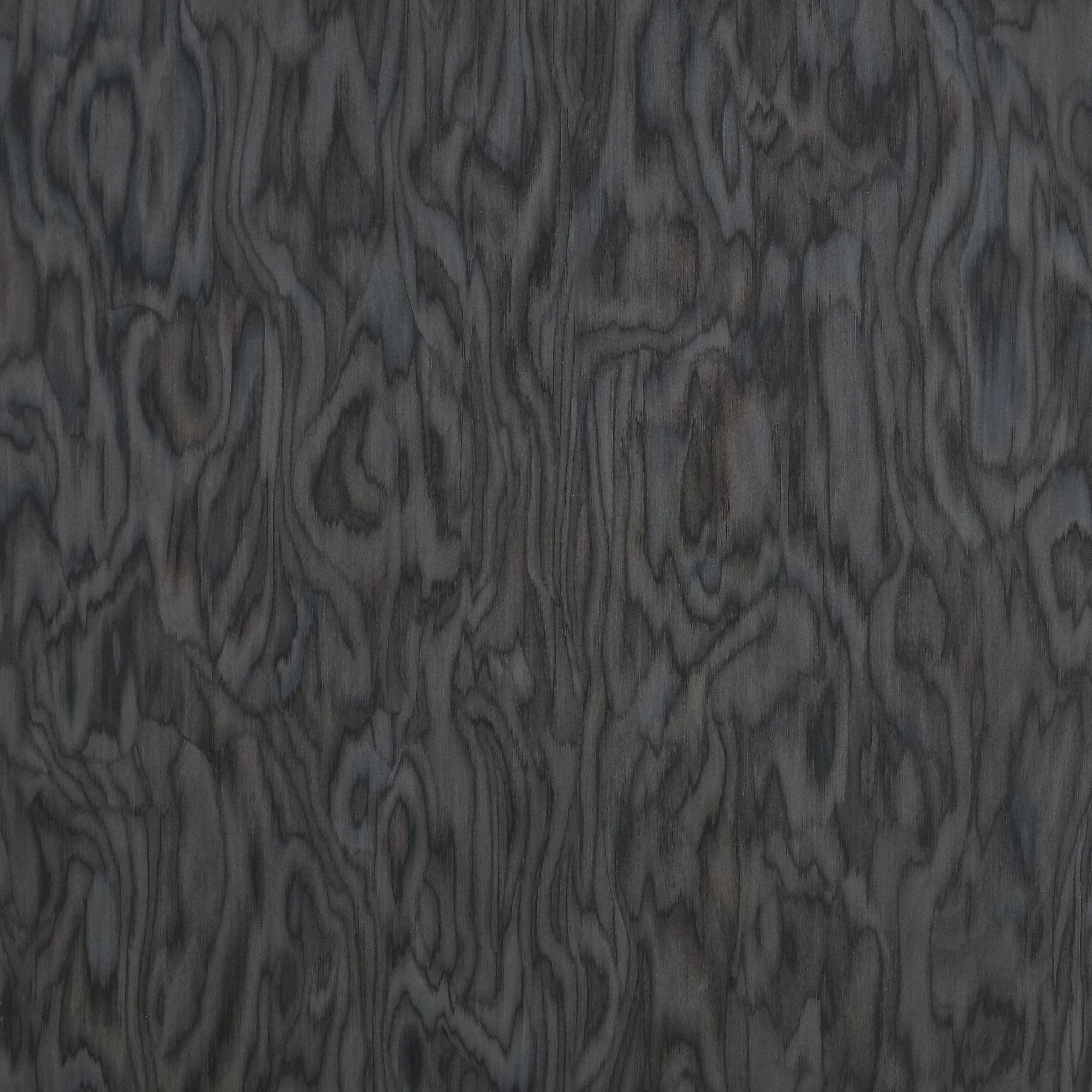 Exotic Pine