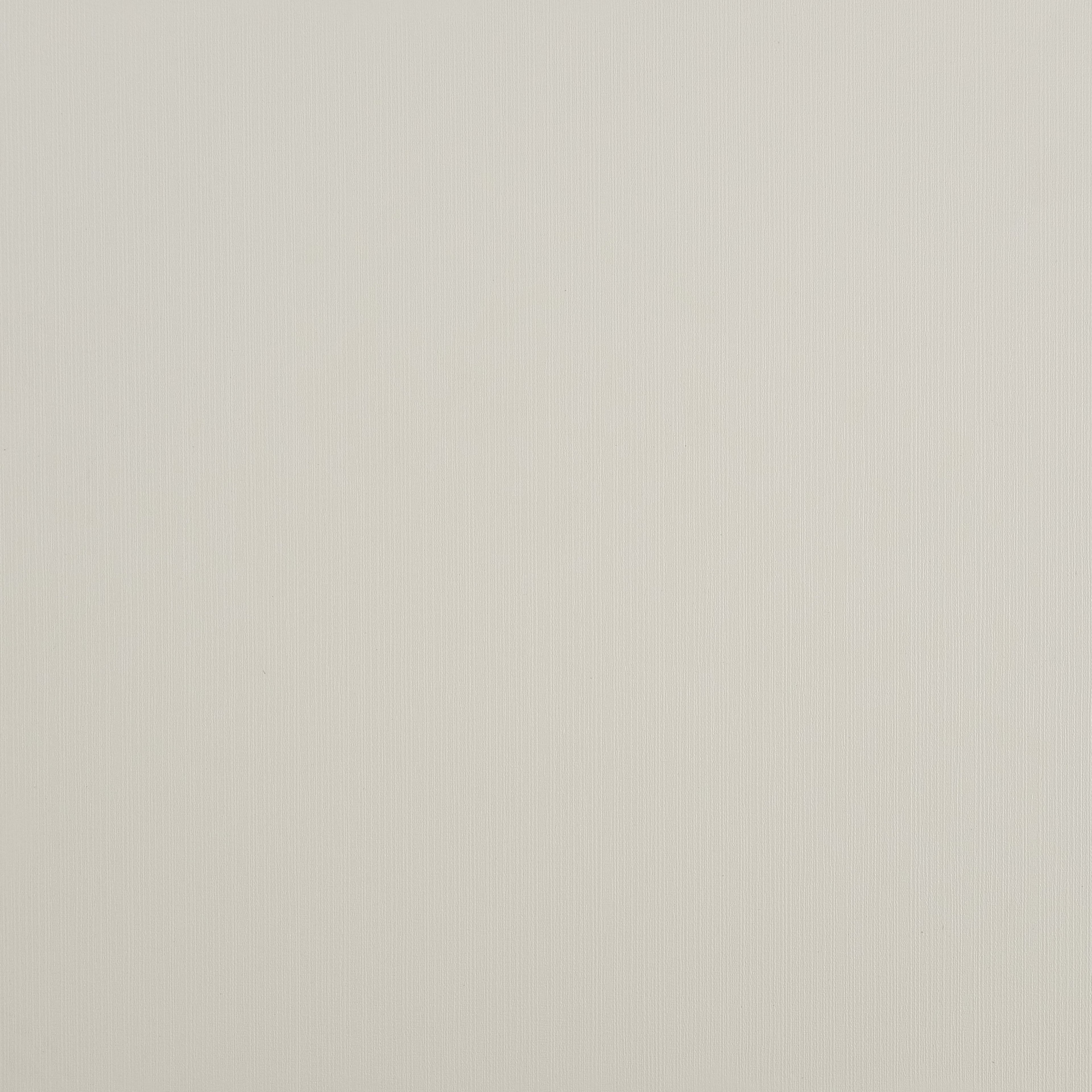 Ivory Birch
