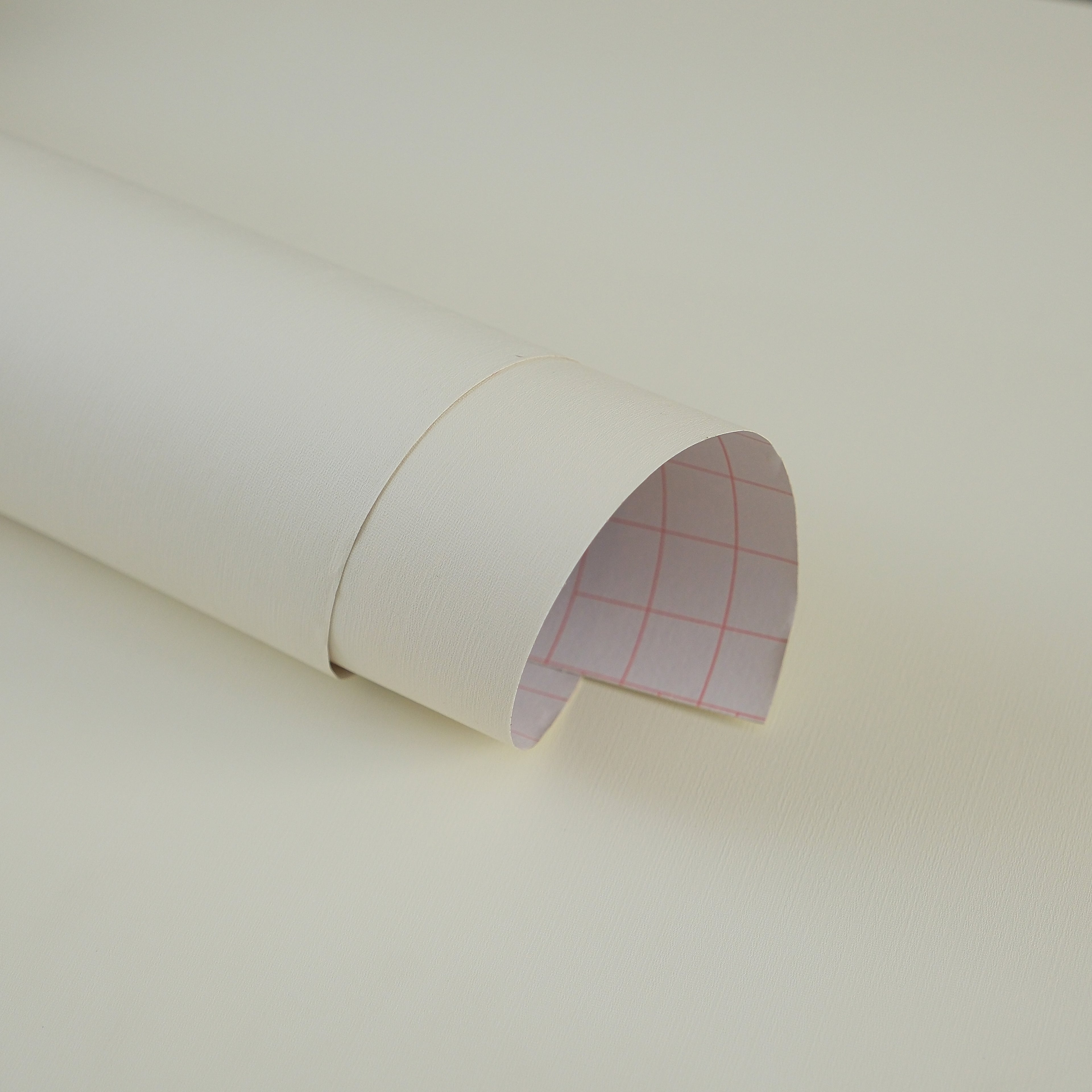 Ivory Birch